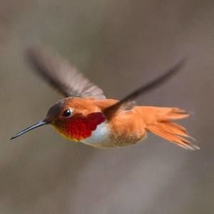 Meet your Posher, Thida